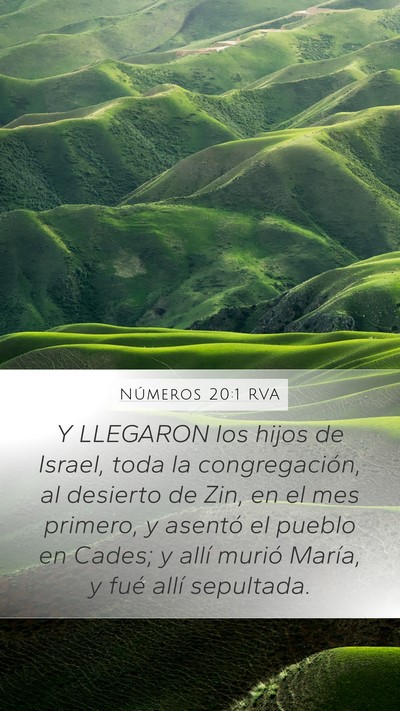 Números 20:1 RVA Bible Verse Image