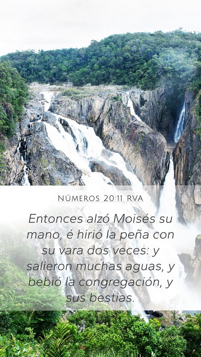 Números 20:11 RVA Bible Verse Image