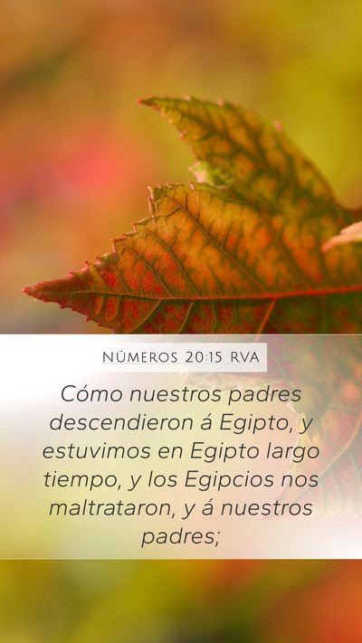Números 20:15 RVA Bible Verse Image