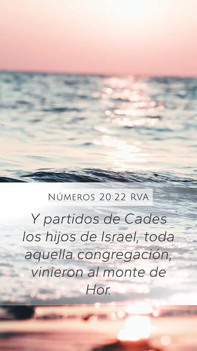 Números 20:22 RVA Bible Verse Image