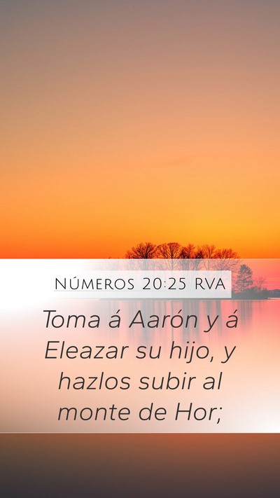 Números 20:25 RVA Bible Verse Image
