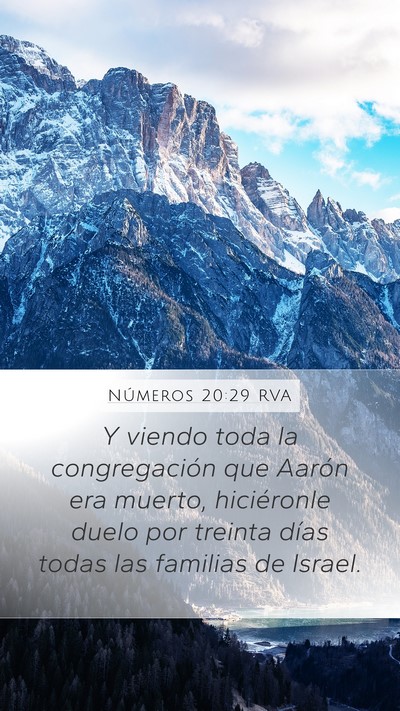 Números 20:29 RVA Bible Verse Image