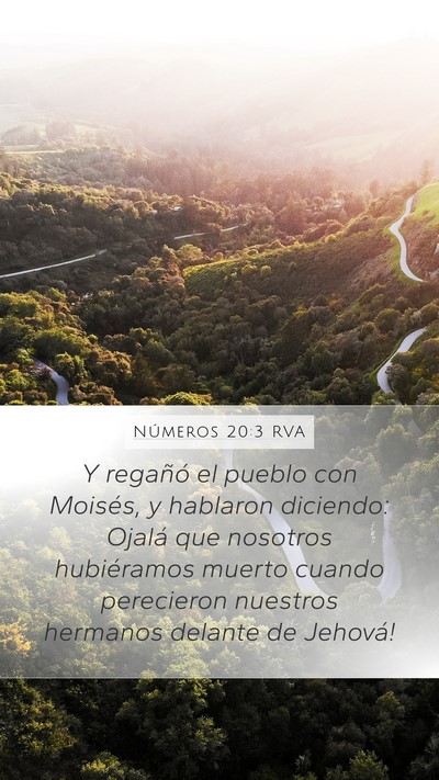 Números 20:3 RVA Bible Verse Image