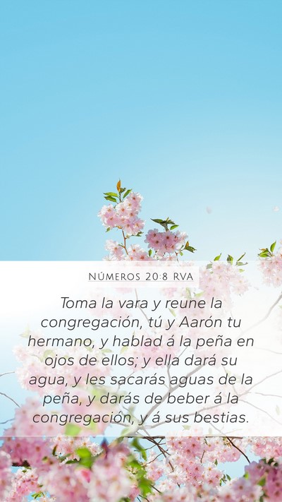 Números 20:8 RVA Bible Verse Image