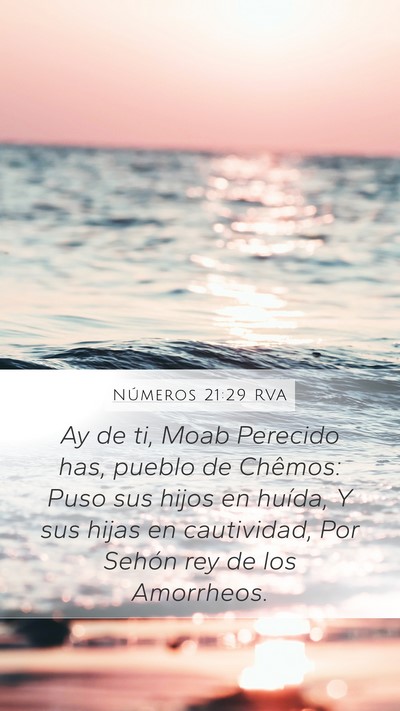 Números 21:29 RVA Bible Verse Image