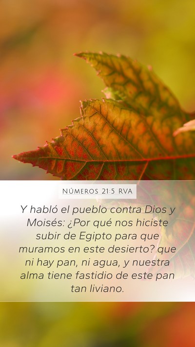 Números 21:5 RVA Bible Verse Image