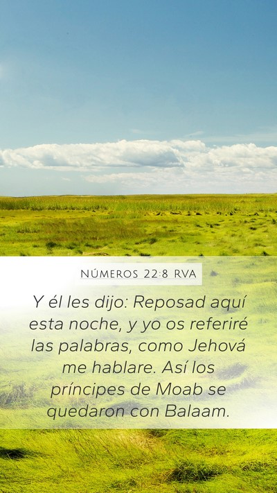 Números 22:8 RVA Mobile Phone Wallpaper - Y él les dijo: Reposad aquí esta noche, y yo os - Mobile Bible Verse Wallpaper