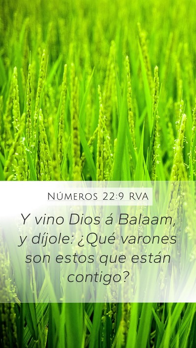 Números 22:9 RVA Bible Verse Image