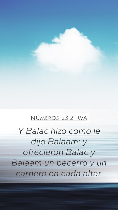 Números 23:2 RVA Mobile Phone Wallpaper - Y Balac hizo como le dijo Balaam: y ofrecieron - Mobile Bible Verse Wallpaper