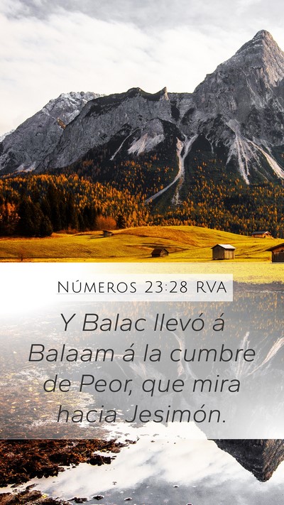 Números 23:28 RVA Bible Verse Image