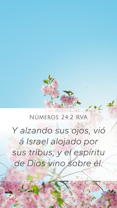 Números 24:2 RVA Mobile Phone Wallpaper - Y alzando sus ojos, vió á Israel alojado por - Mobile Bible Verse Wallpaper