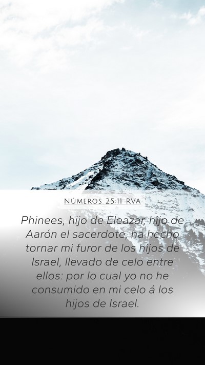 Números 25:11 RVA Bible Verse Image
