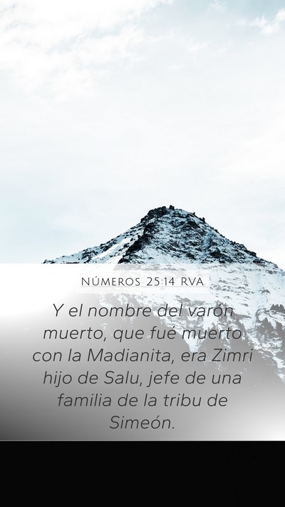 Números 25:14 RVA Bible Verse Image