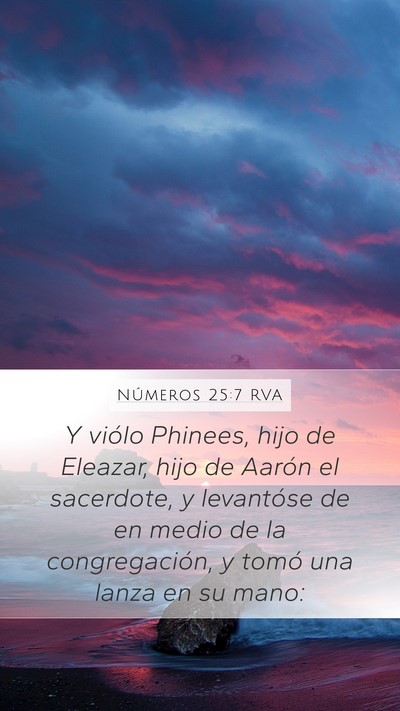 Números 25:7 RVA Bible Verse Image