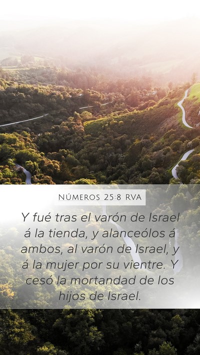 Números 25:8 RVA Bible Verse Image