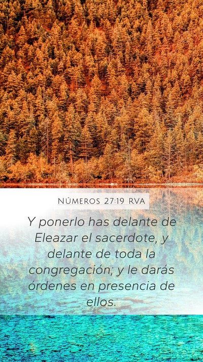 Números 27:19 RVA Mobile Phone Wallpaper - Y ponerlo has delante de Eleazar el sacerdote, y - Mobile Bible Verse Wallpaper
