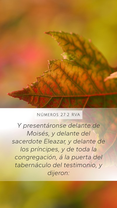Números 27:2 RVA Mobile Phone Wallpaper - Y presentáronse delante de Moisés, y delante - Mobile Bible Verse Wallpaper
