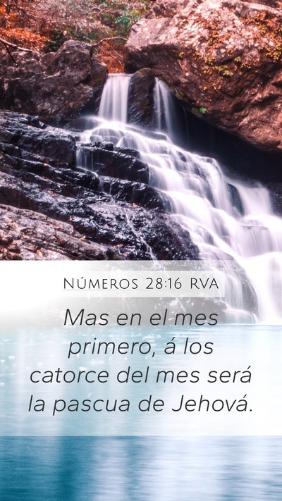 Números 28:16 RVA Bible Verse Image
