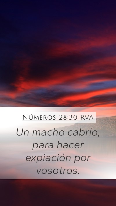 Números 28:30 RVA Bible Verse Image