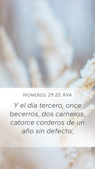 Números 29:20 RVA Bible Verse Image