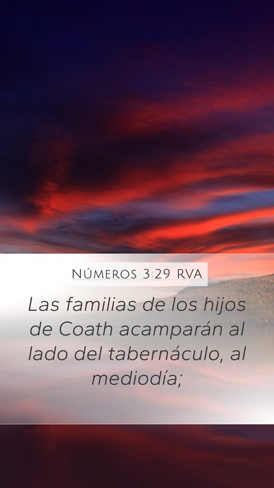 Números 3:29 RVA Bible Verse Image