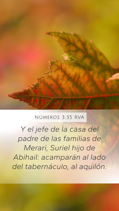 Números 3:35 RVA Bible Verse Image