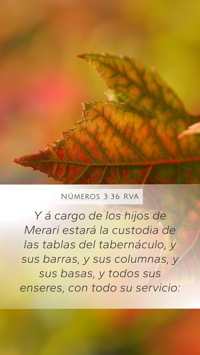 Números 3:36 RVA Bible Verse Image