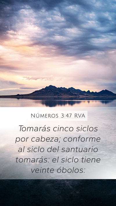 Números 3:47 RVA Mobile Phone Wallpaper - Tomarás cinco siclos por cabeza; conforme al - Mobile Bible Verse Wallpaper