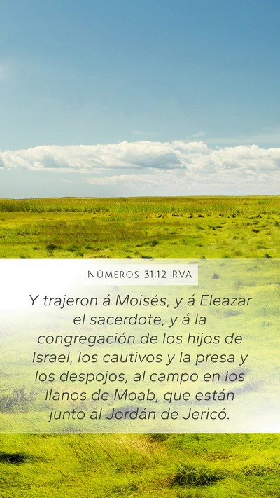 Números 31:12 RVA Bible Verse Image
