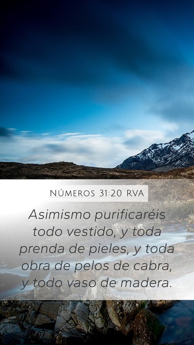 Números 31:20 RVA Mobile Phone Wallpaper - Asimismo purificaréis todo vestido, y toda - Mobile Bible Verse Wallpaper