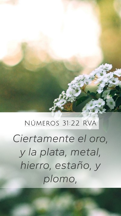 Números 31:22 RVA Bible Verse Image