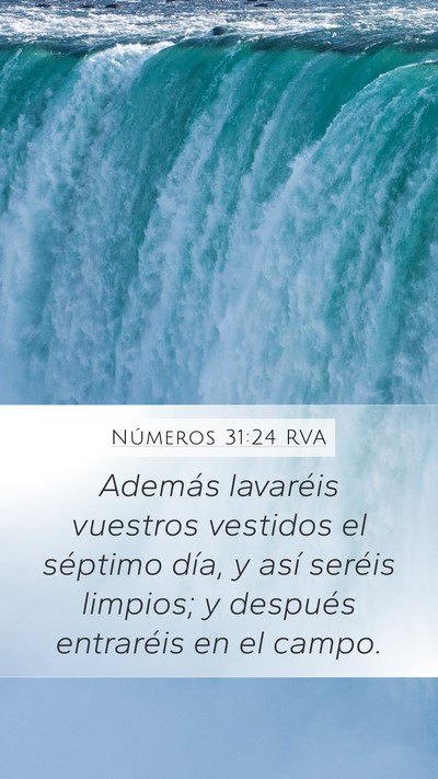 Números 31:24 RVA Mobile Phone Wallpaper - Además lavaréis vuestros vestidos el séptimo - Mobile Bible Verse Wallpaper