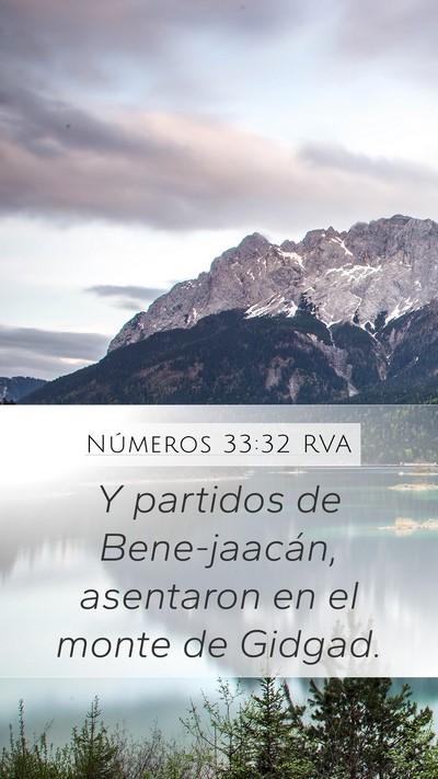 Números 33:32 RVA Mobile Phone Wallpaper - Y partidos de Bene-jaacán, asentaron en el monte - Mobile Bible Verse Wallpaper