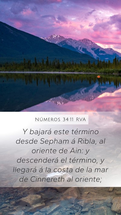 Números 34:11 RVA Bible Verse Image