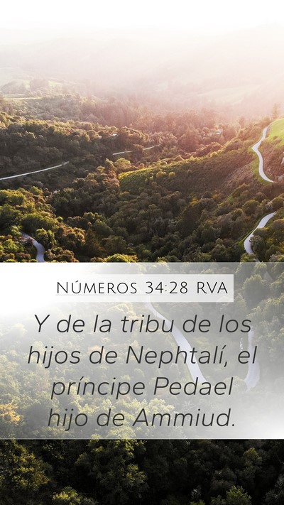 Números 34:28 RVA Mobile Phone Wallpaper - Y de la tribu de los hijos de Nephtalí, el - Mobile Bible Verse Wallpaper