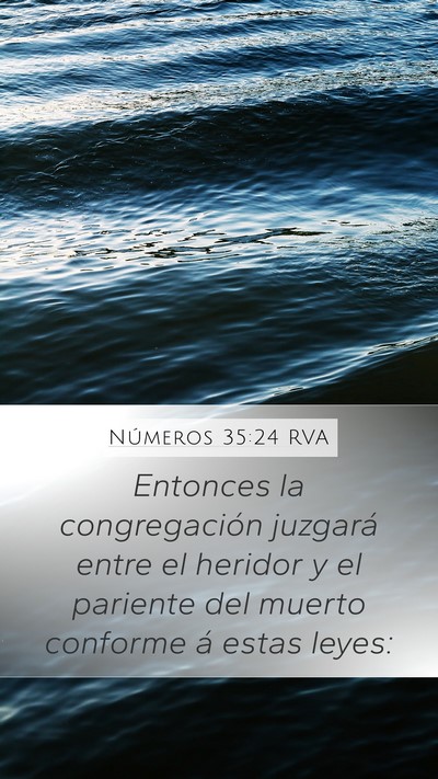 Números 35:24 RVA Bible Verse Image