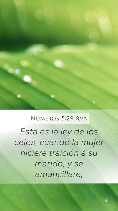 Números 5:29 RVA Bible Verse Image