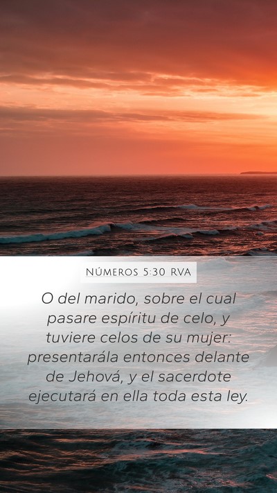 Números 5:30 RVA Mobile Phone Wallpaper - O del marido, sobre el cual pasare espíritu de - Mobile Bible Verse Wallpaper