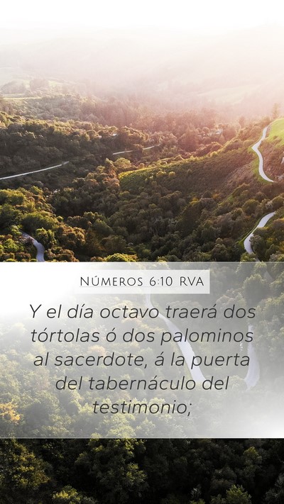 Números 6:10 RVA Mobile Phone Wallpaper - Y el día octavo traerá dos tórtolas ó dos - Mobile Bible Verse Wallpaper