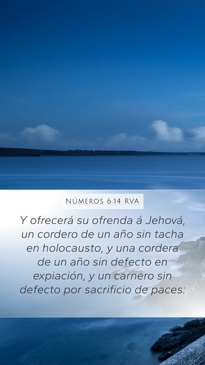 Números 6:14 RVA Bible Verse Image