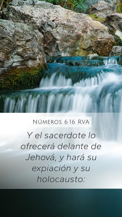 Números 6:16 RVA Bible Verse Image