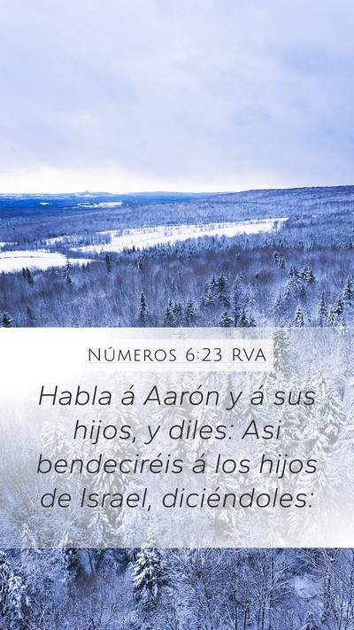 Números 6:23 RVA Mobile Phone Wallpaper - Habla á Aarón y á sus hijos, y diles: Asi - Mobile Bible Verse Wallpaper