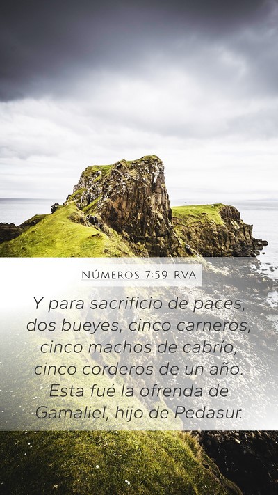 Números 7:59 RVA Bible Verse Image