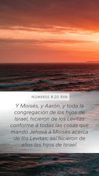 Números 8:20 RVA Bible Verse Image