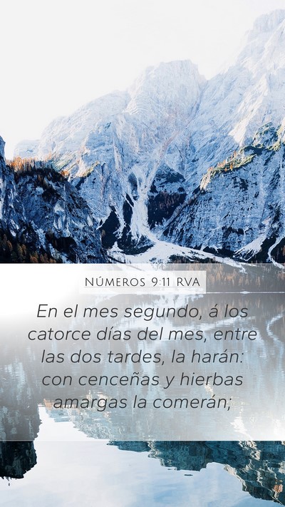 Números 9:11 RVA Mobile Phone Wallpaper - En el mes segundo, á los catorce días del mes, - Mobile Bible Verse Wallpaper