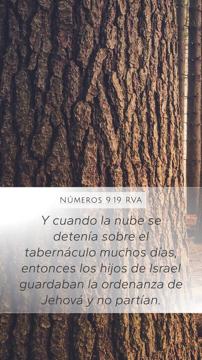 Números 9:19 RVA Mobile Phone Wallpaper - Y cuando la nube se detenía sobre el - Mobile Bible Verse Wallpaper