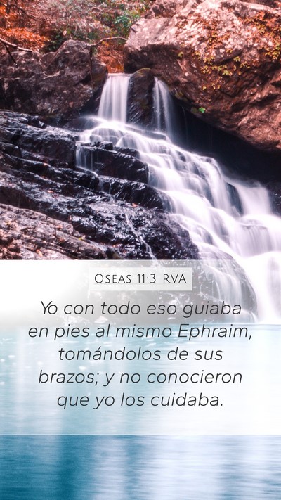 Oseas 11:3 RVA Bible Verse Image