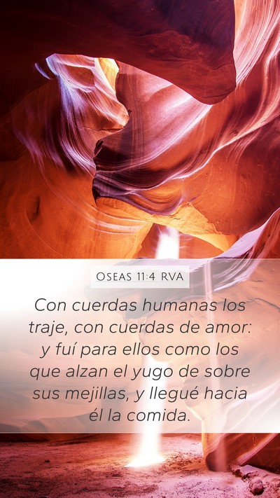 Oseas 11:4 RVA Mobile Phone Wallpaper - Con cuerdas humanas los traje, con cuerdas de - Mobile Bible Verse Wallpaper