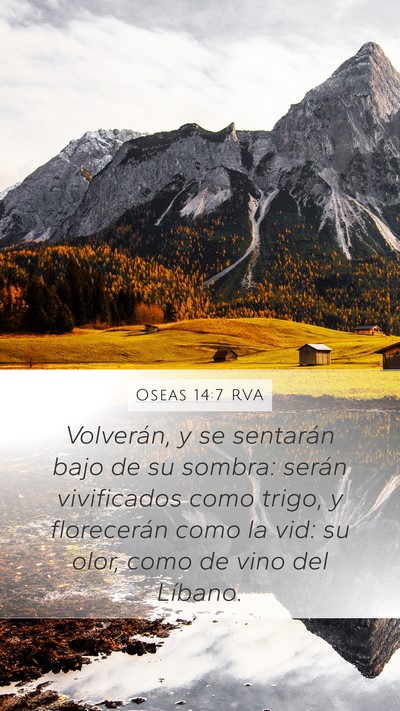 Oseas 14:7 RVA Bible Verse Image
