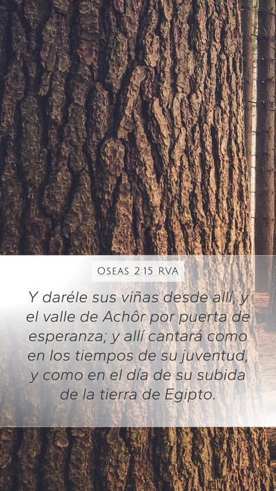 Oseas 2:15 RVA Bible Verse Image